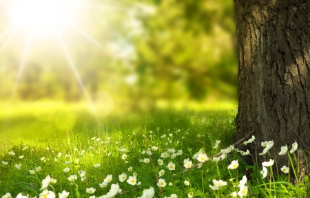 海角吃瓜风光摄影作品