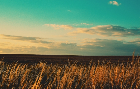 海角吃瓜静物摄影作品